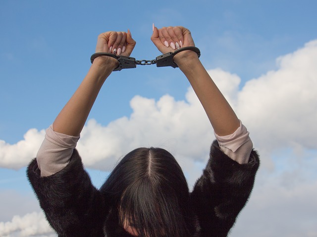 Juvenile Offenders: Children and Criminal Law Juvenile offenders can find the criminal system intimidating
